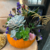 Newsletter Images - 2025-10-02T162852.543