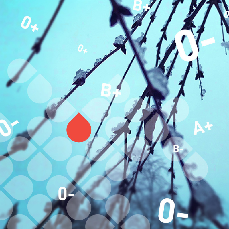 Newsletter Images (46)