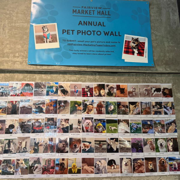 Newsletter Images - 2026-03-23T113913.045