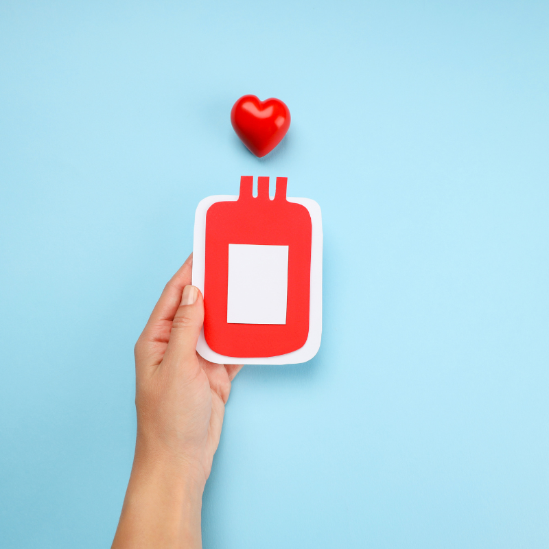 Newsletter Images (93)